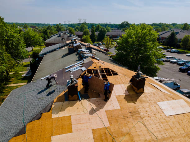 Roof Gutter Cleaning in Airway Heights, WA