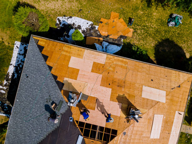 Best Roof Gutter Cleaning  in Airy Heights, WA